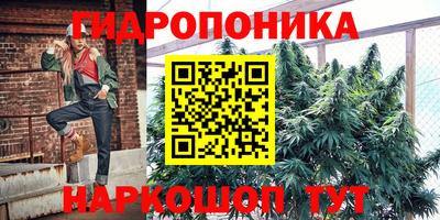 прущие грибы Ликино-Дулёво