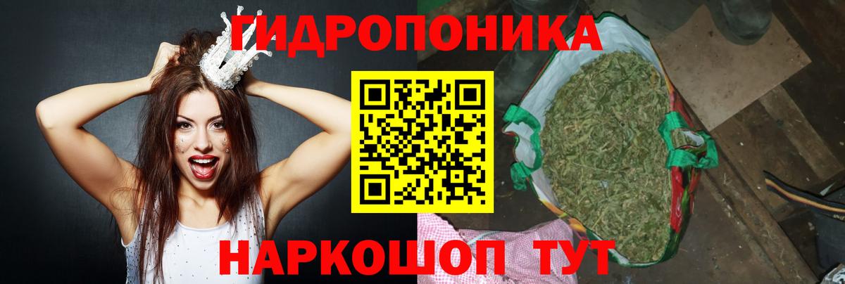 Бошки Шишки тримм Грозный
